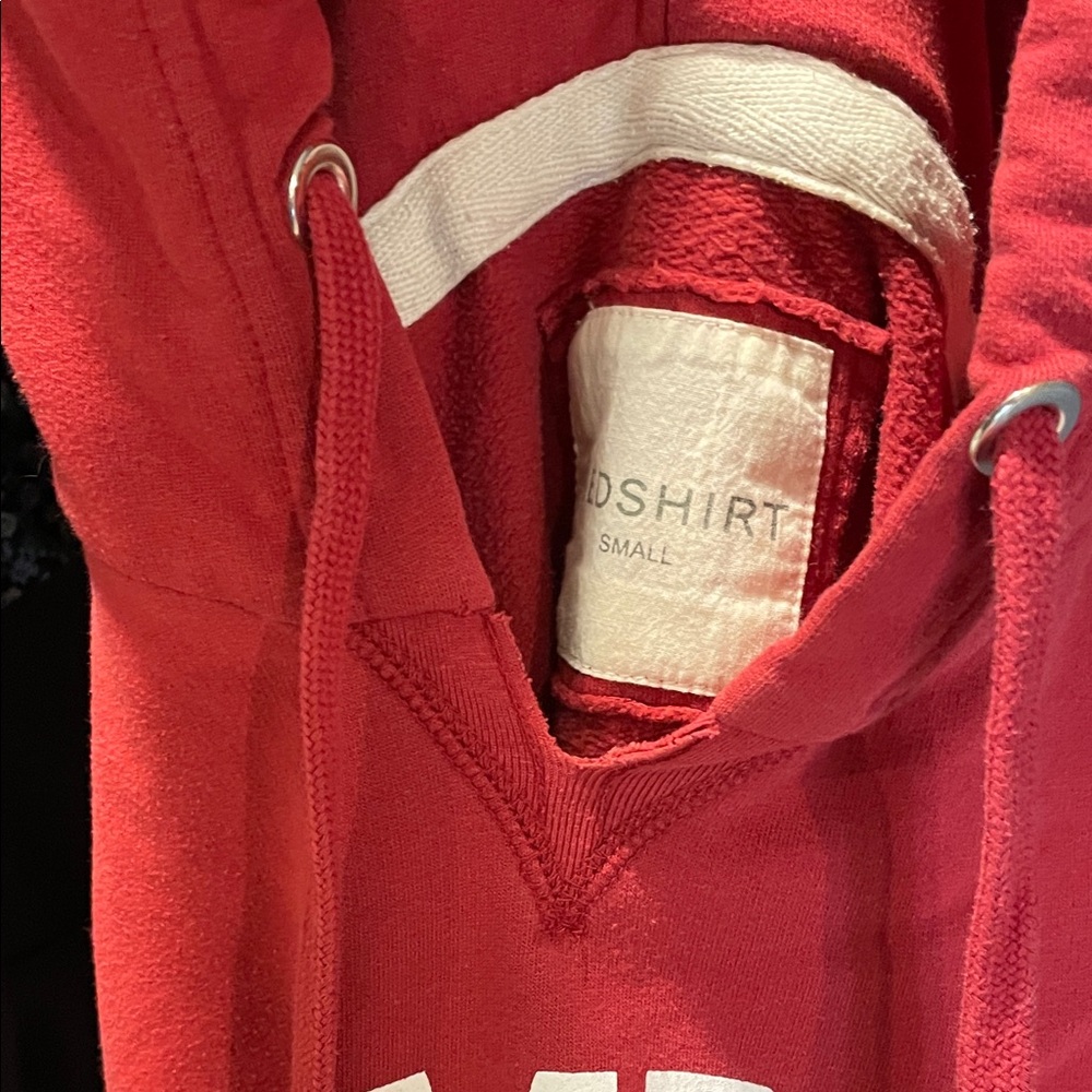 Temple University Red Hoodie Small College Campus Preppy Streetwear Redshirt Sm - Picture 9 of 10